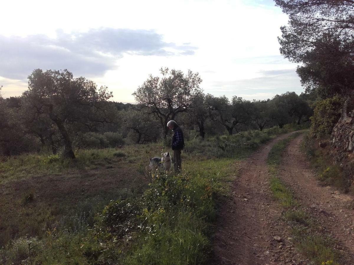 Ca L'Eli Different Experience Hutt 12157 Guest House Mont-roig del Camp ภายนอก รูปภาพ